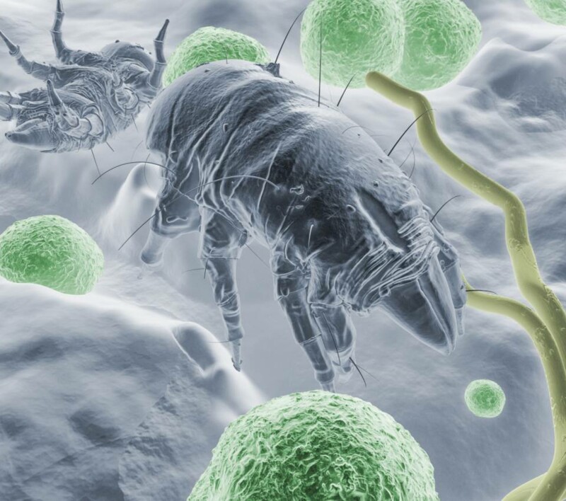 qualite_air_1-w960-h850_fillfill